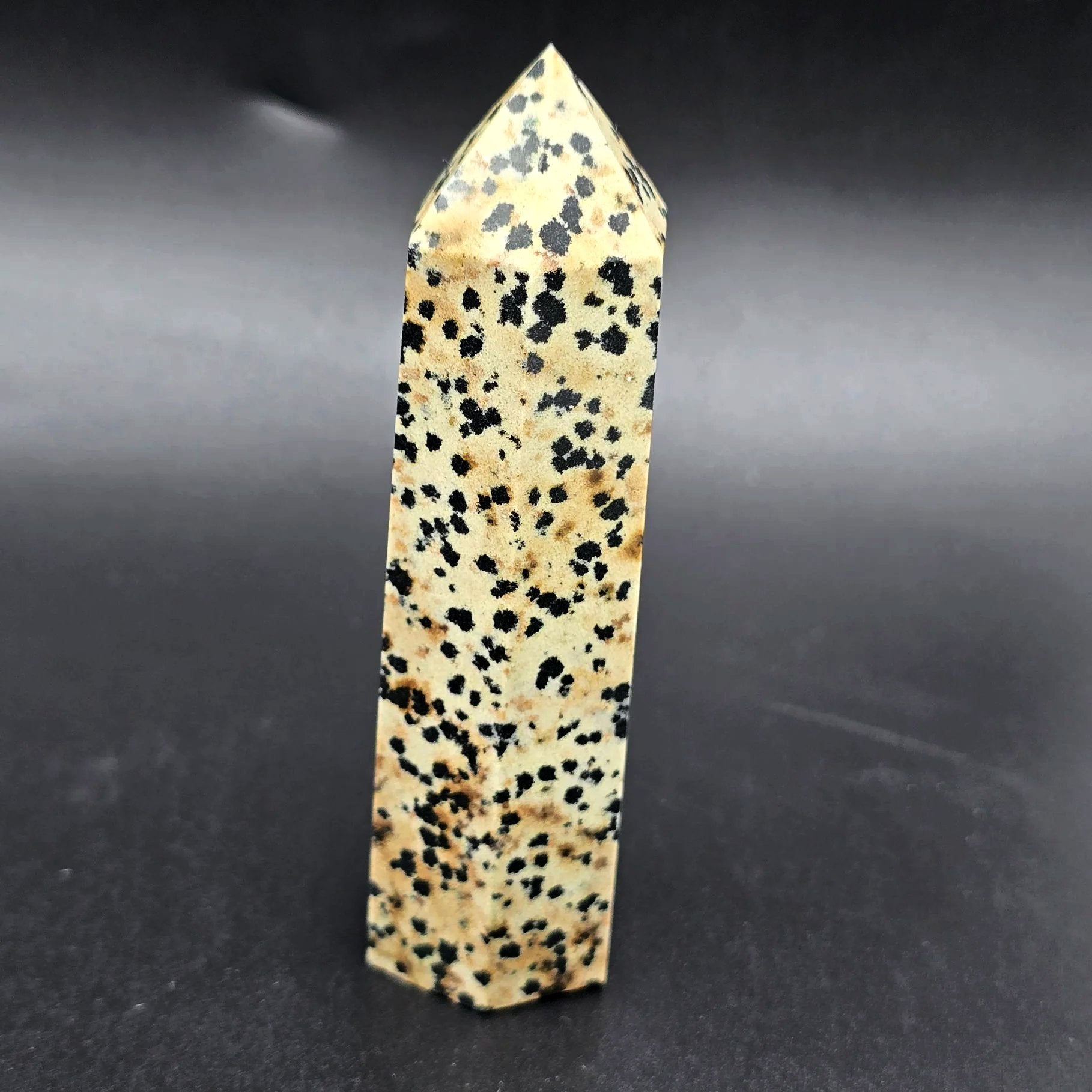 Dalmatian Jasper Tower Dalmatian Jasper Point 3 1/4" 85mm - Elevated Metaphysical