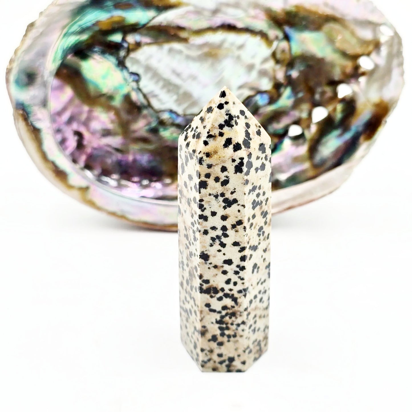 Dalmatian Jasper Tower Dalmatian Jasper Point 3 1/4" 85mm - Elevated Metaphysical