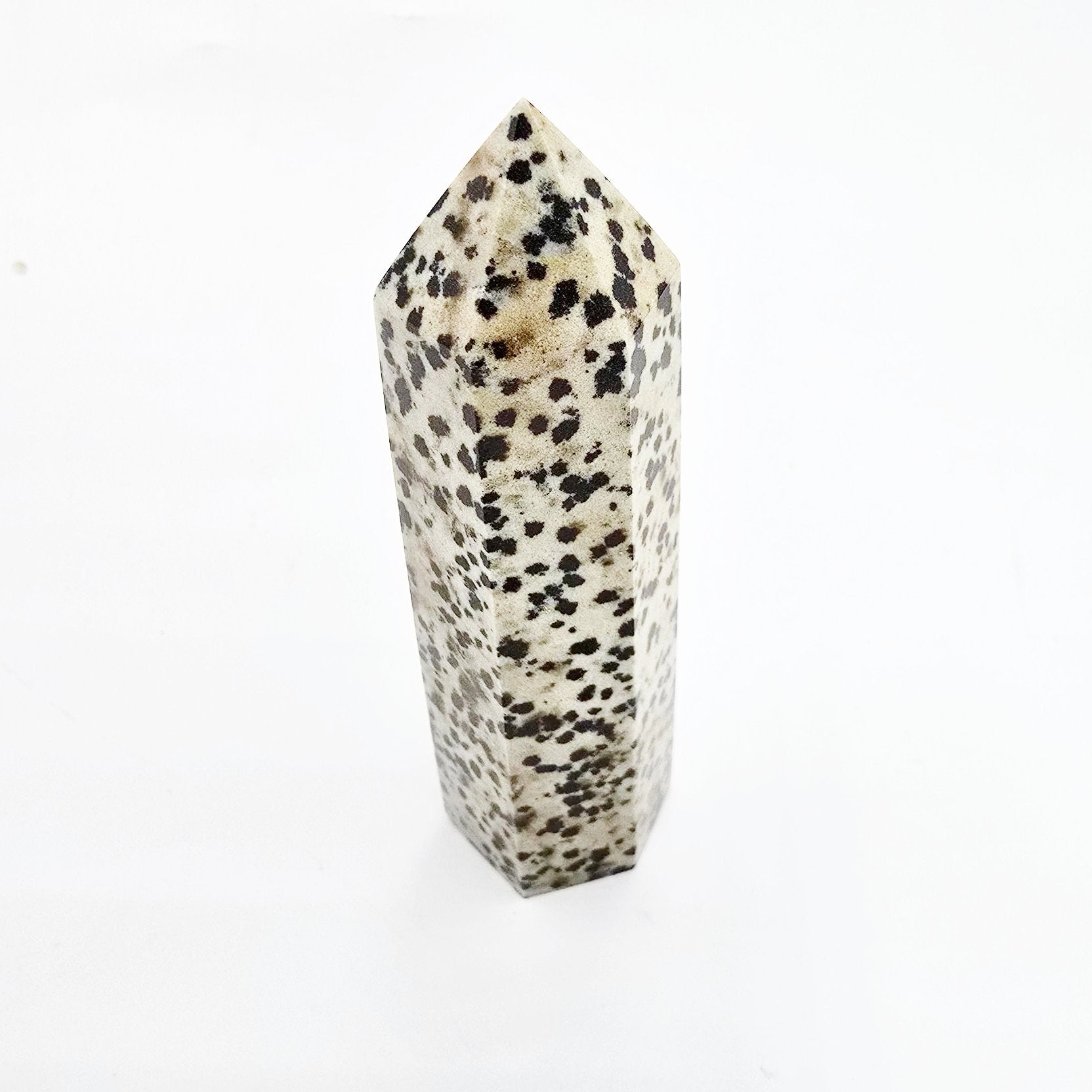 Dalmatian Jasper Tower Dalmatian Jasper Point 3 1/4" 85mm - Elevated Metaphysical