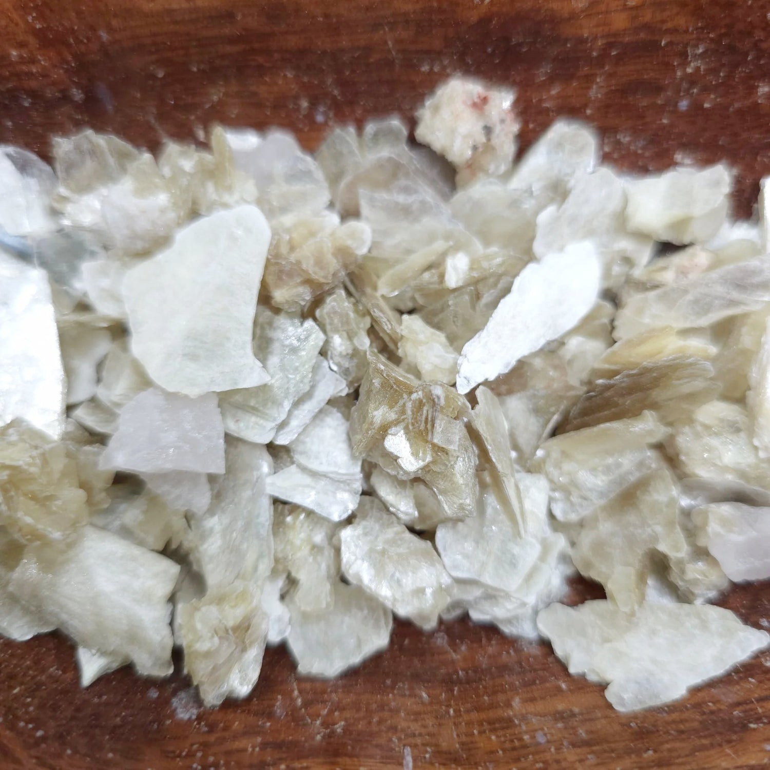 Gold Star Muscovite Mica Rough Stone - Elevated Metaphysical