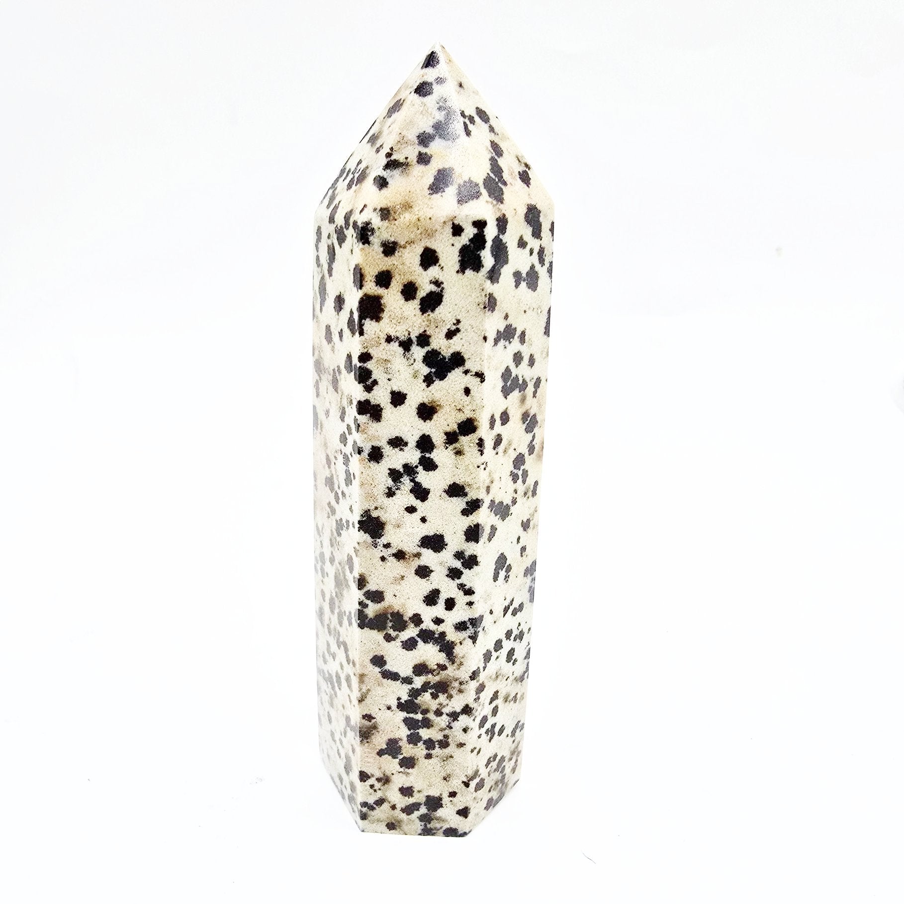 Dalmatian Jasper Tower Dalmatian Jasper Point 3 1/4" 85mm - Elevated Metaphysical