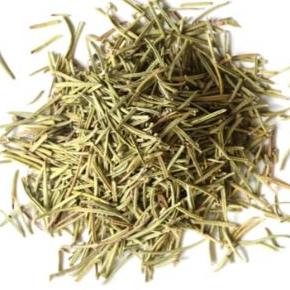 Rosemary Leaves Herb