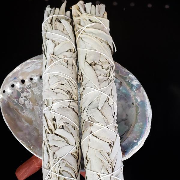 White Sage Smudge Wand 8" California - Elevated Metaphysical