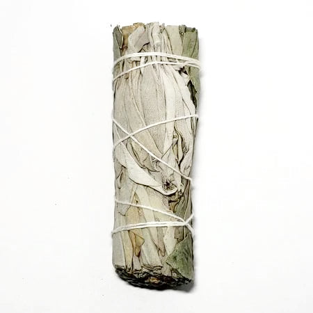 White Sage & Eucalyptus Smudge Wand Stick 4" - Incense and Herbs