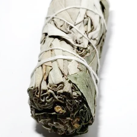 White Sage & Eucalyptus Smudge Wand Stick 4" - Incense and Herbs