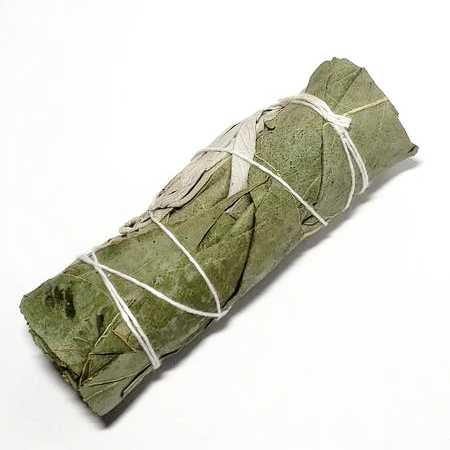 White Sage & Eucalyptus Smudge Wand Stick 4" - Incense and Herbs