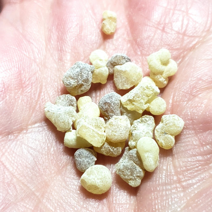 Frankincense Resin 2 Oz Bag