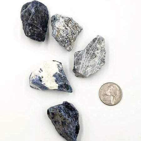 Sodalite Rough Stone - Elevated Metaphysical