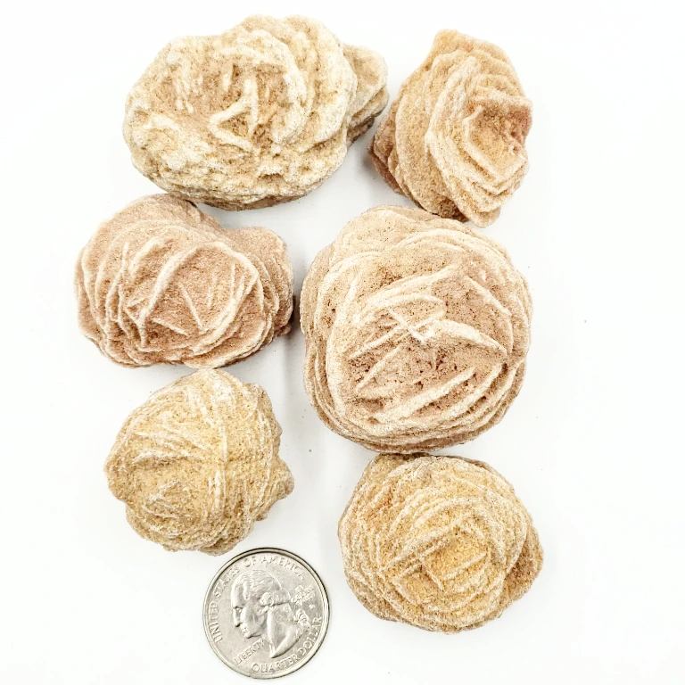 Desert Rose Rough Stone