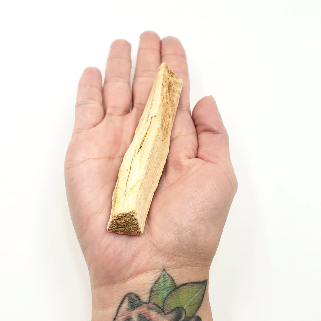 Palo Santo 4" Incense Stick