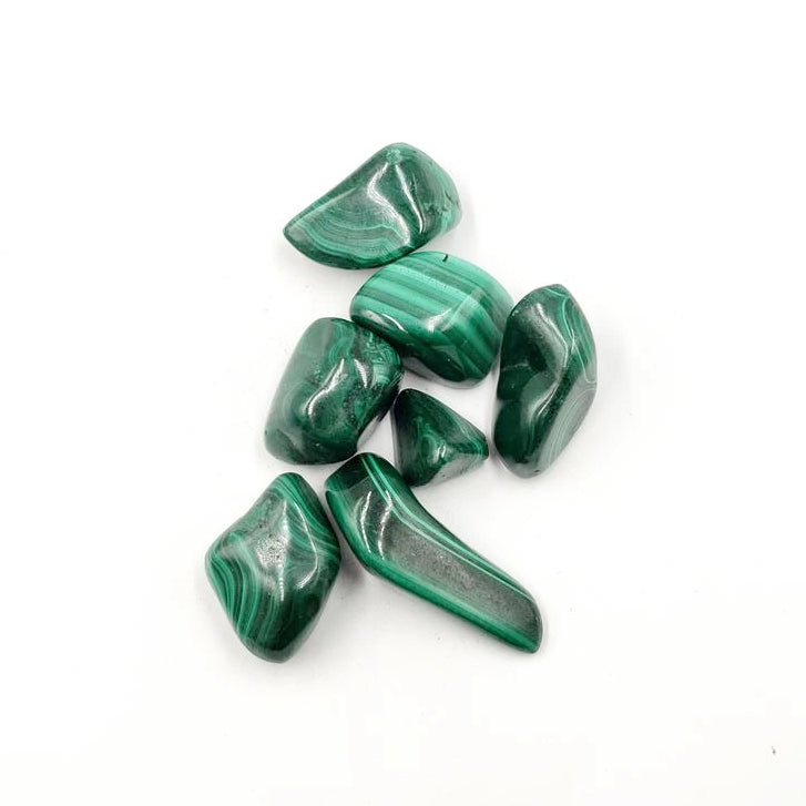 Malachite Tumbled Stone - Elevated Metaphysical