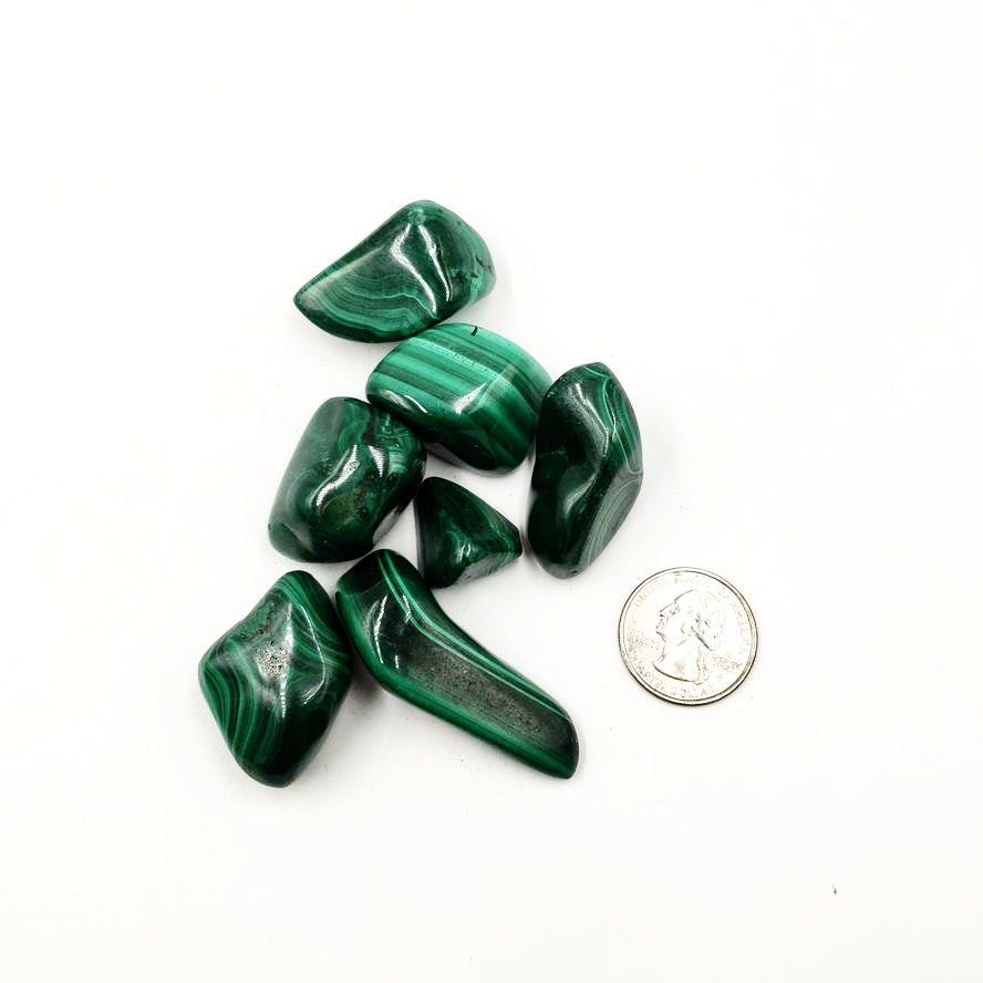 Malachite Tumbled Stone - Elevated Metaphysical