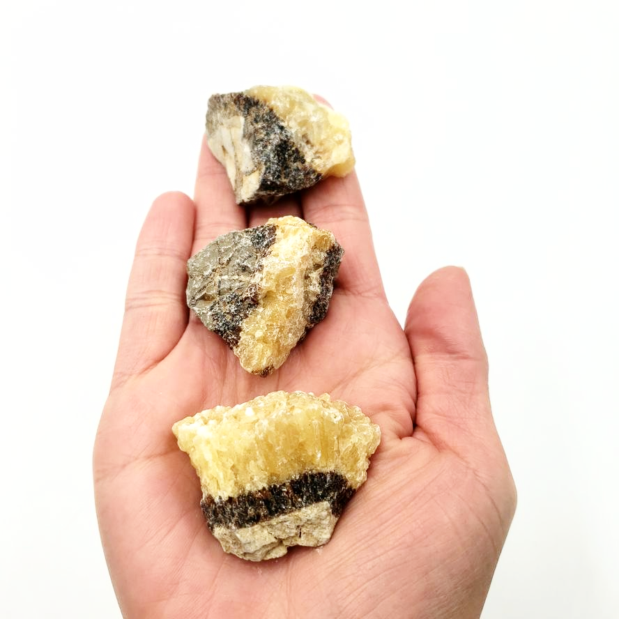 Septarian Rough Stone