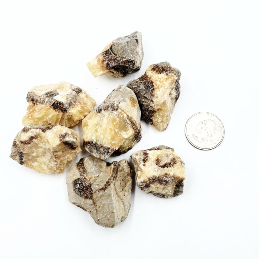 Septarian Rough Stone