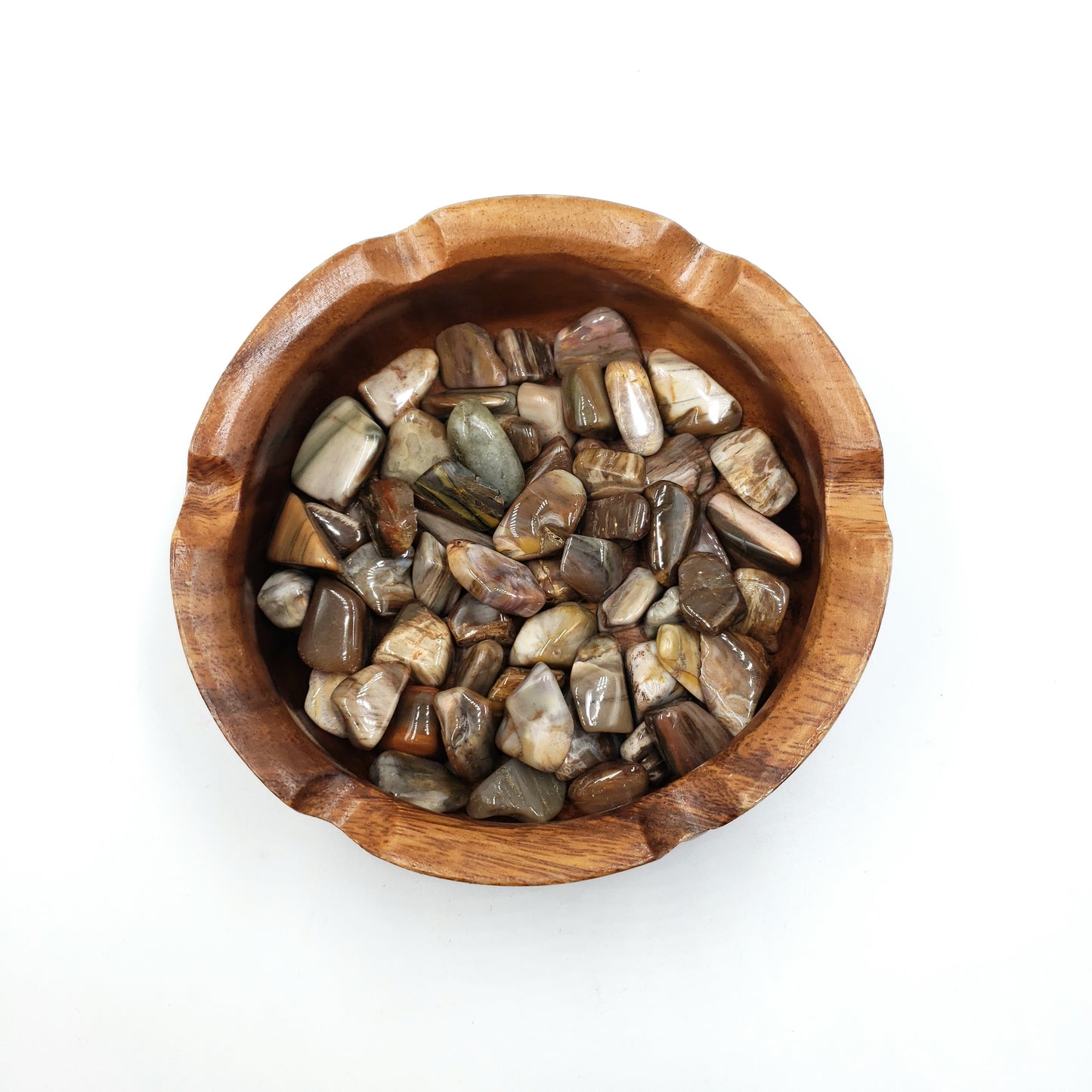 Petrified Wood Tumbled Stone