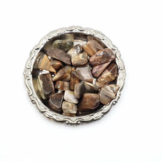 Petrified Wood Tumbled Stone