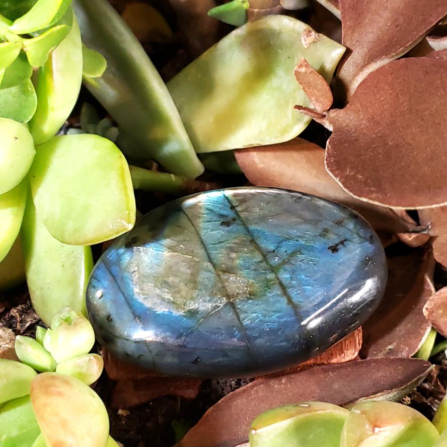 Labradorite Palm Stone Smooth Stone Blue Labradorite - Elevated Metaphysical