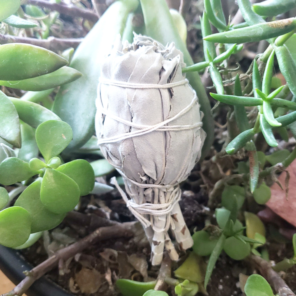 White Sage Smudge Torch 3" - Elevated Metaphysical