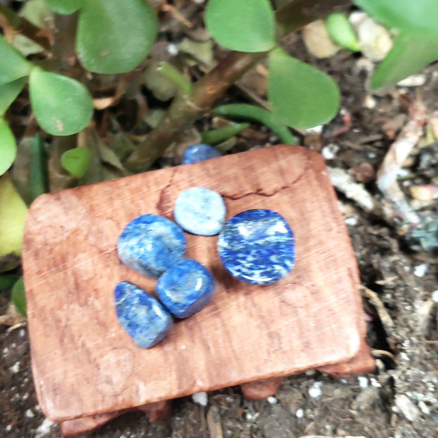 Lapis Lazuli Chips - Elevated Metaphysical