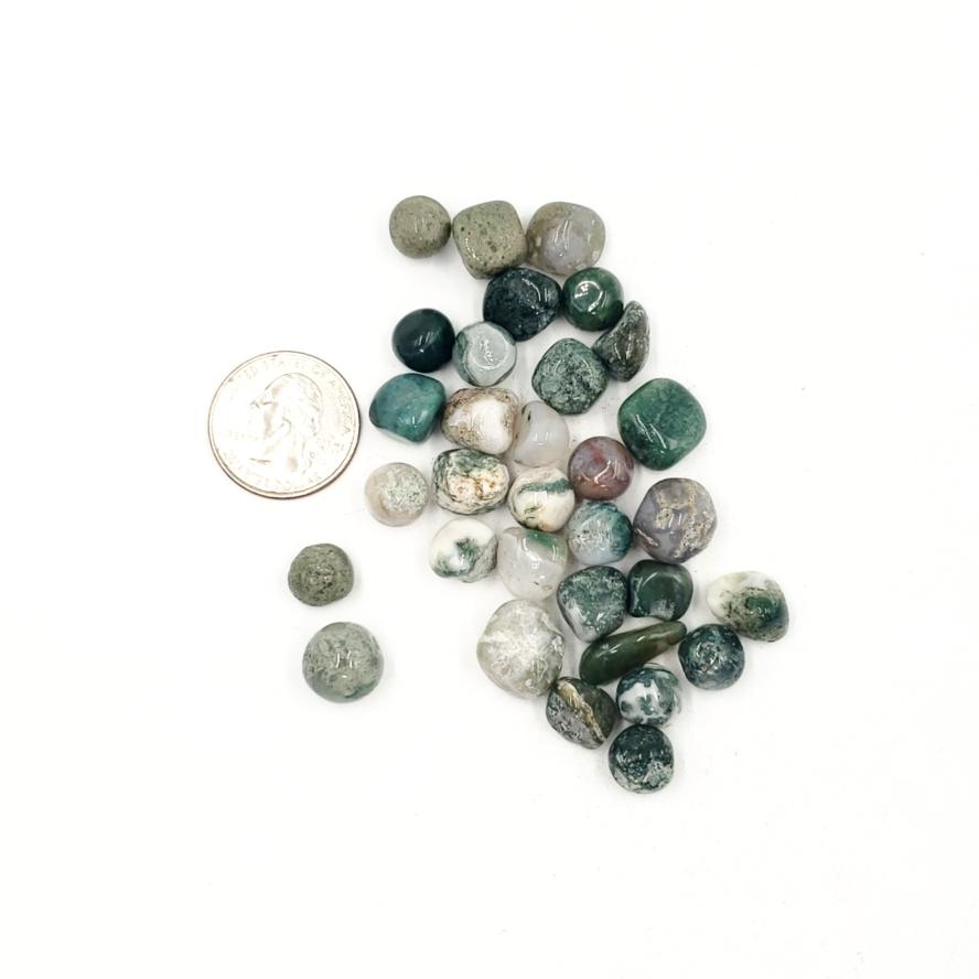 Moss Agate Chips - Elevated Metaphysical
