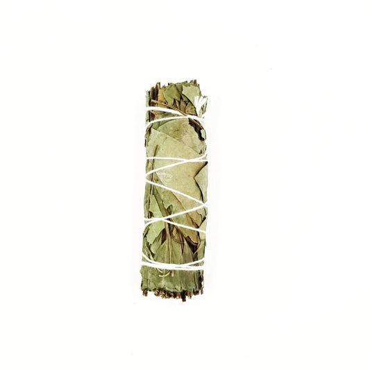 Eucalyptus Smudge Wand Stick 4" - Incense and Herbs