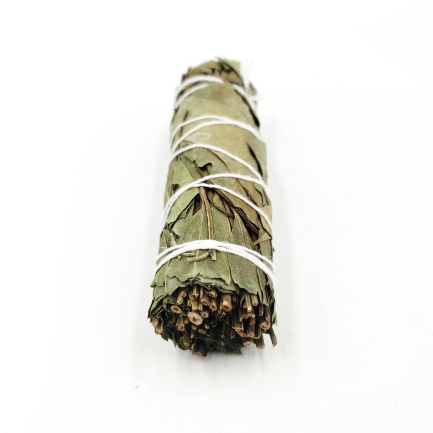 Eucalyptus Smudge Wand Stick 4" - Incense and Herbs