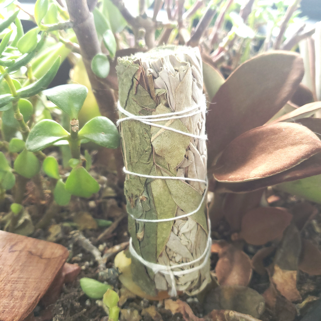 White Sage & Eucalyptus Cleansing Wand Stick 4"