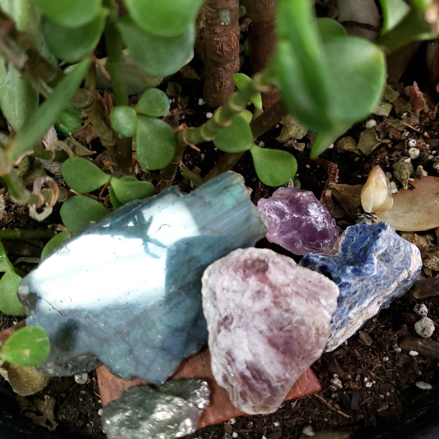 Put Your Worries to Rest - Sleep Stone Set - Elevated Metaphysical