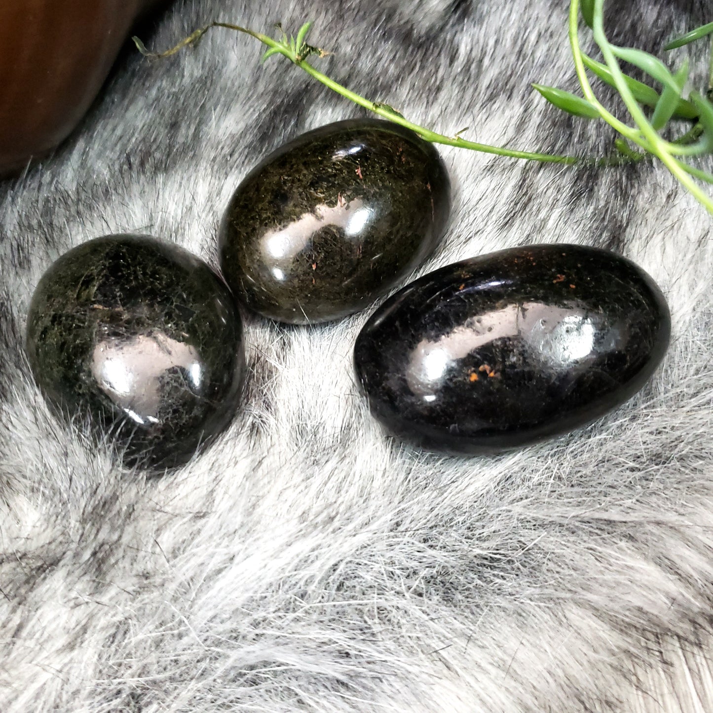 Black Tourmaline Palm Stone - Elevated Metaphysical