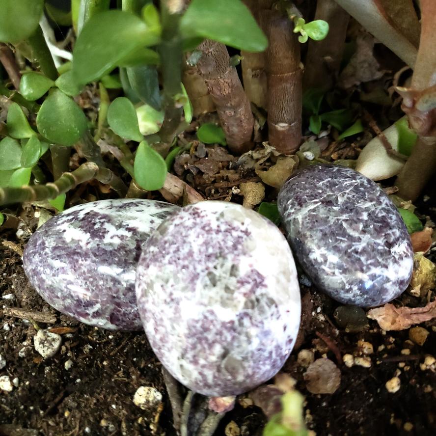 Lepidolite Palm Stone Lepidolite Gallet