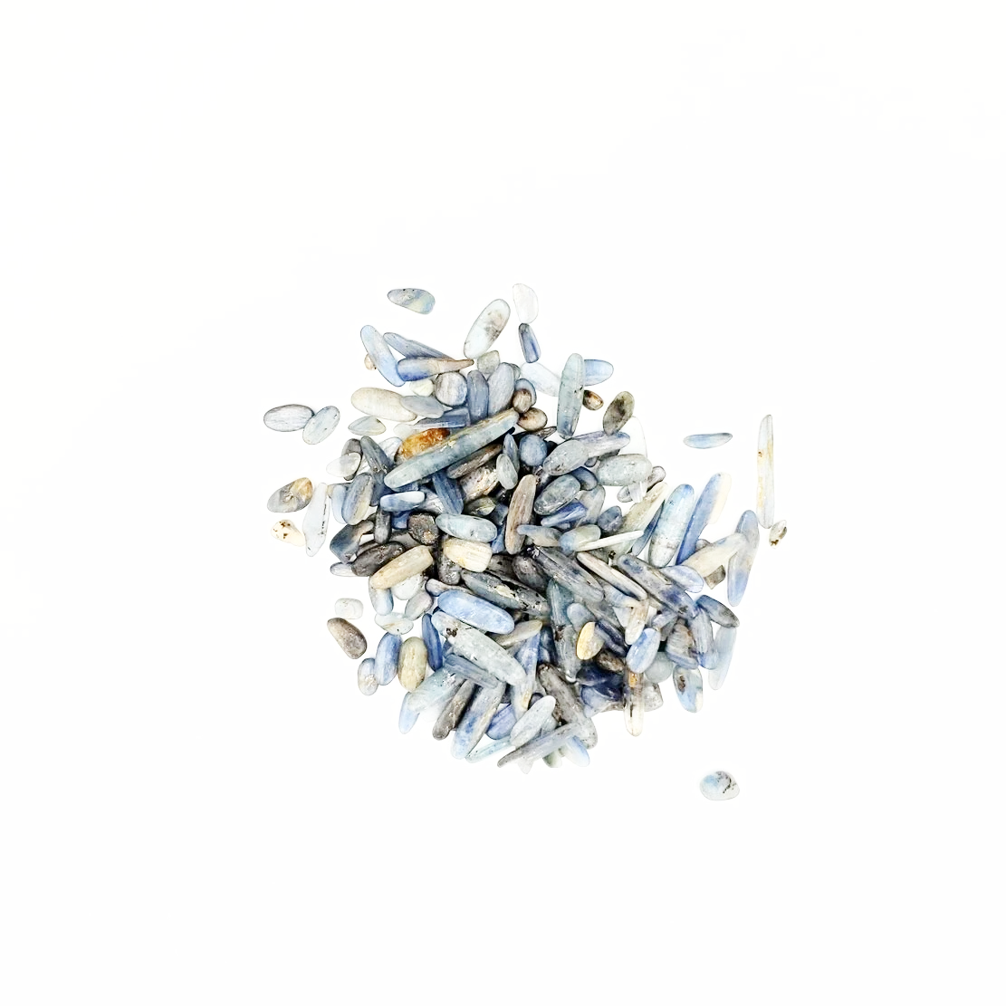 Blue Kyanite Chips - Elevated Metaphysical