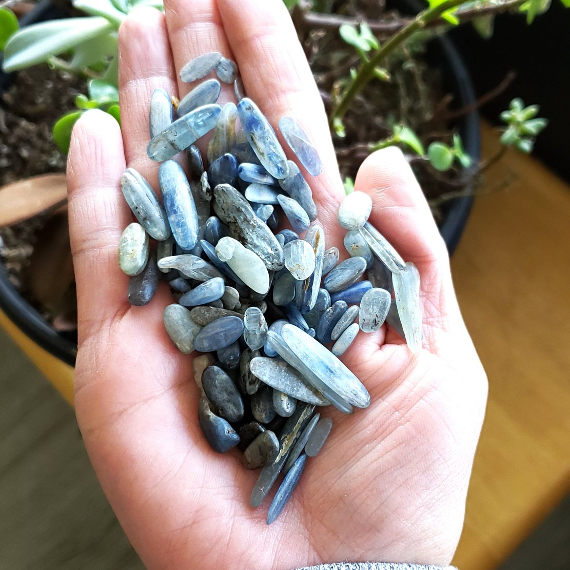 Blue Kyanite Chips - Elevated Metaphysical