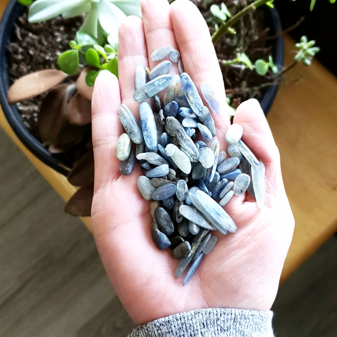 Blue Kyanite Chips - Elevated Metaphysical
