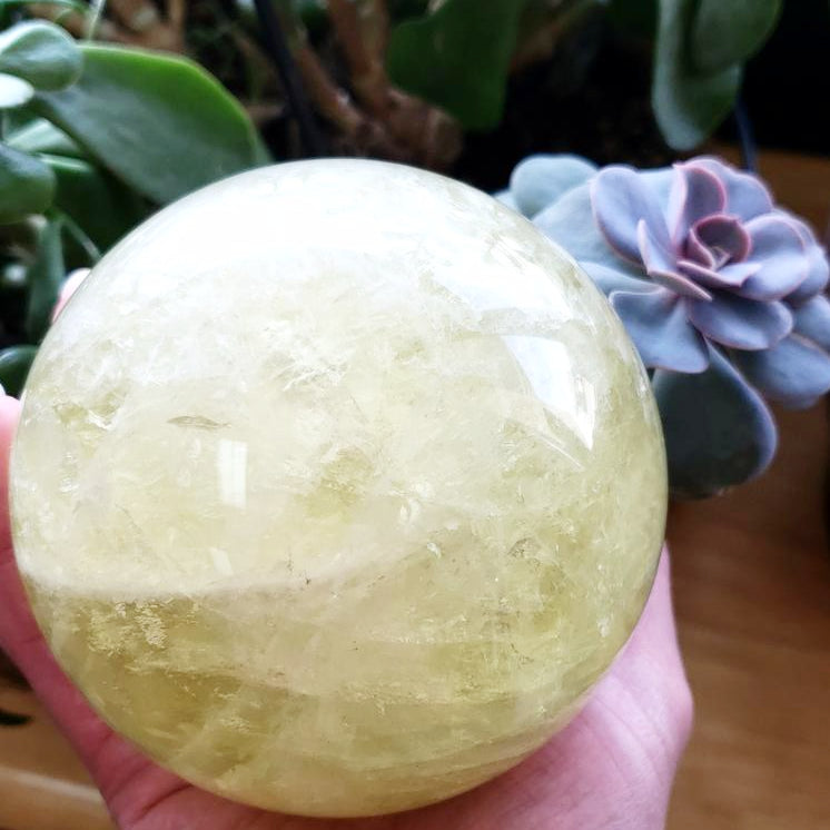 Citrine Sphere Natural Star Citrine 98mm 3.85" 1.25kg 2.75lbs - Elevated Metaphysical