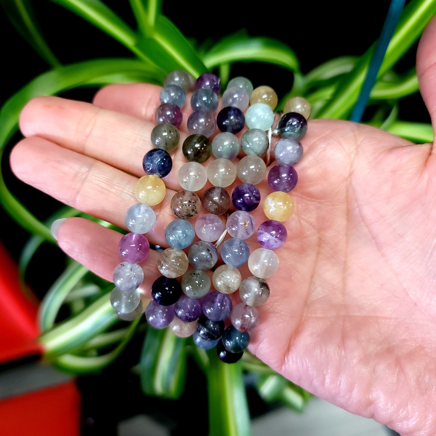 Rainbow Fluorite Bead Bracelet 8mm