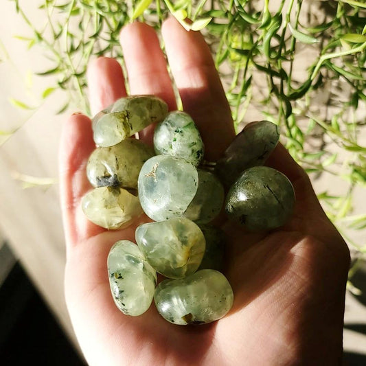 Prehnite Tumbled Stone - Elevated Metaphysical