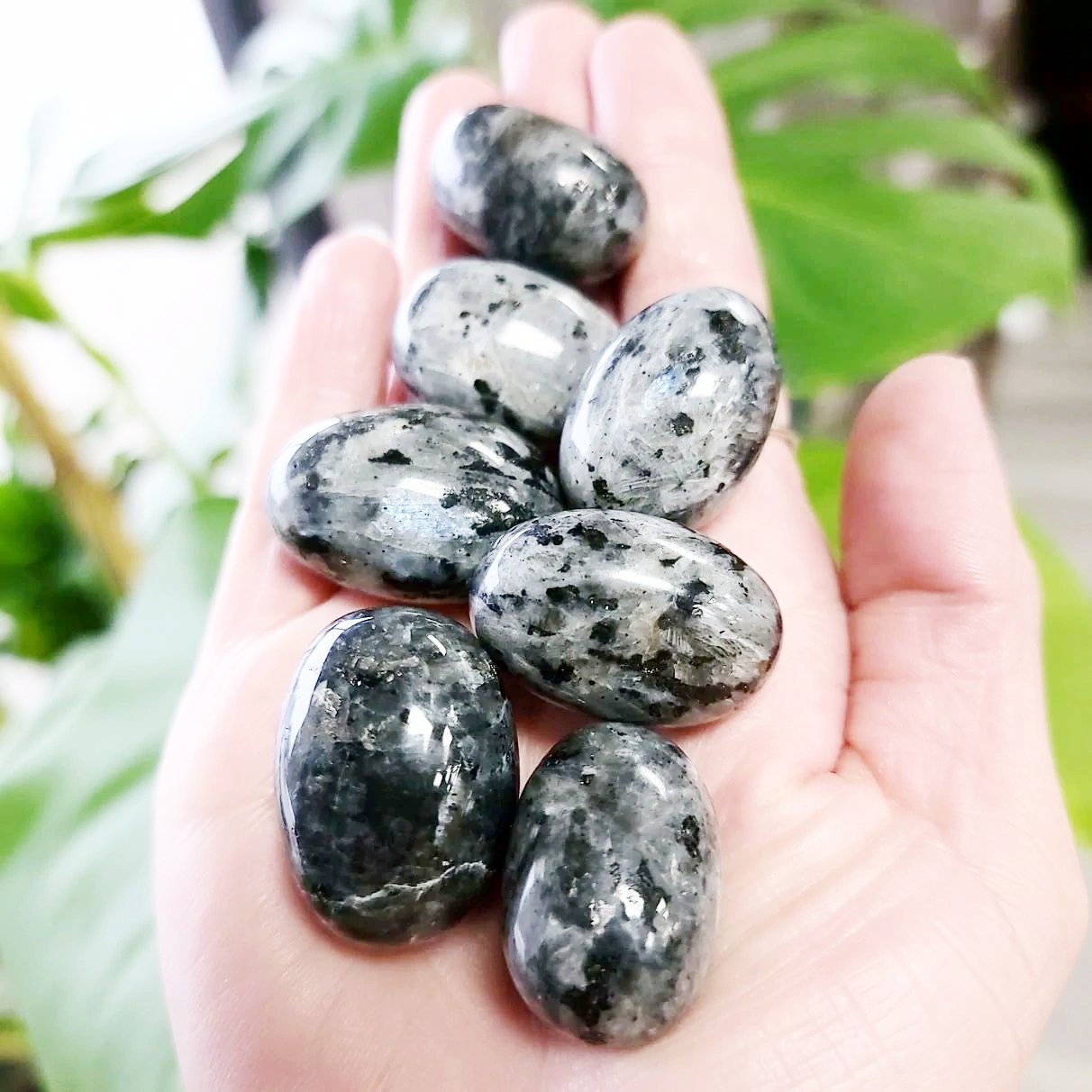 Larvikite Tumbled Stone - Elevated Metaphysical