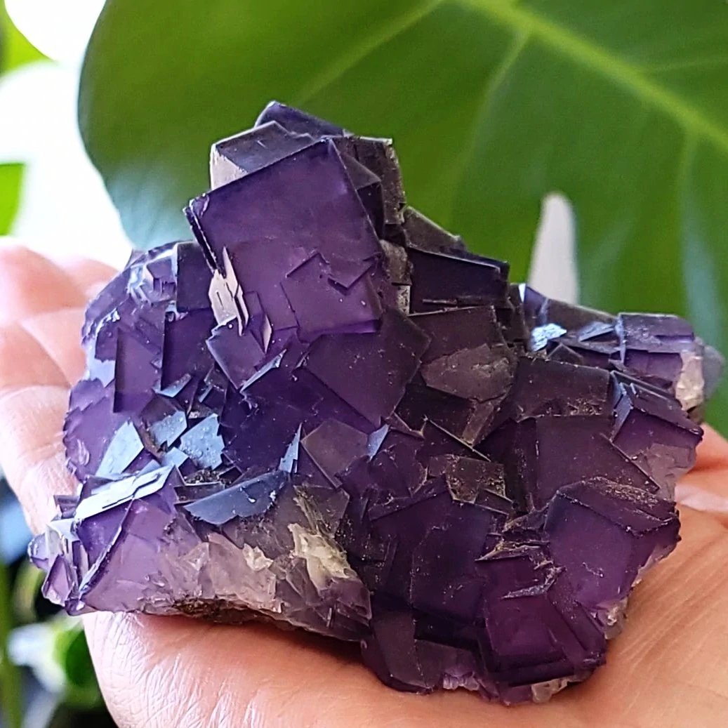 Fluorite Specimen Cubic Crystal Stone Purple Fluorite - Elevated Metaphysical