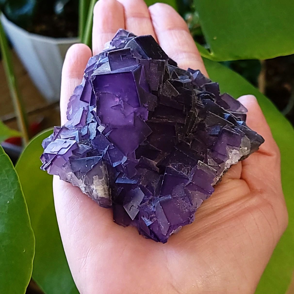 Fluorite Specimen Cubic Crystal Stone Purple Fluorite - Elevated Metaphysical