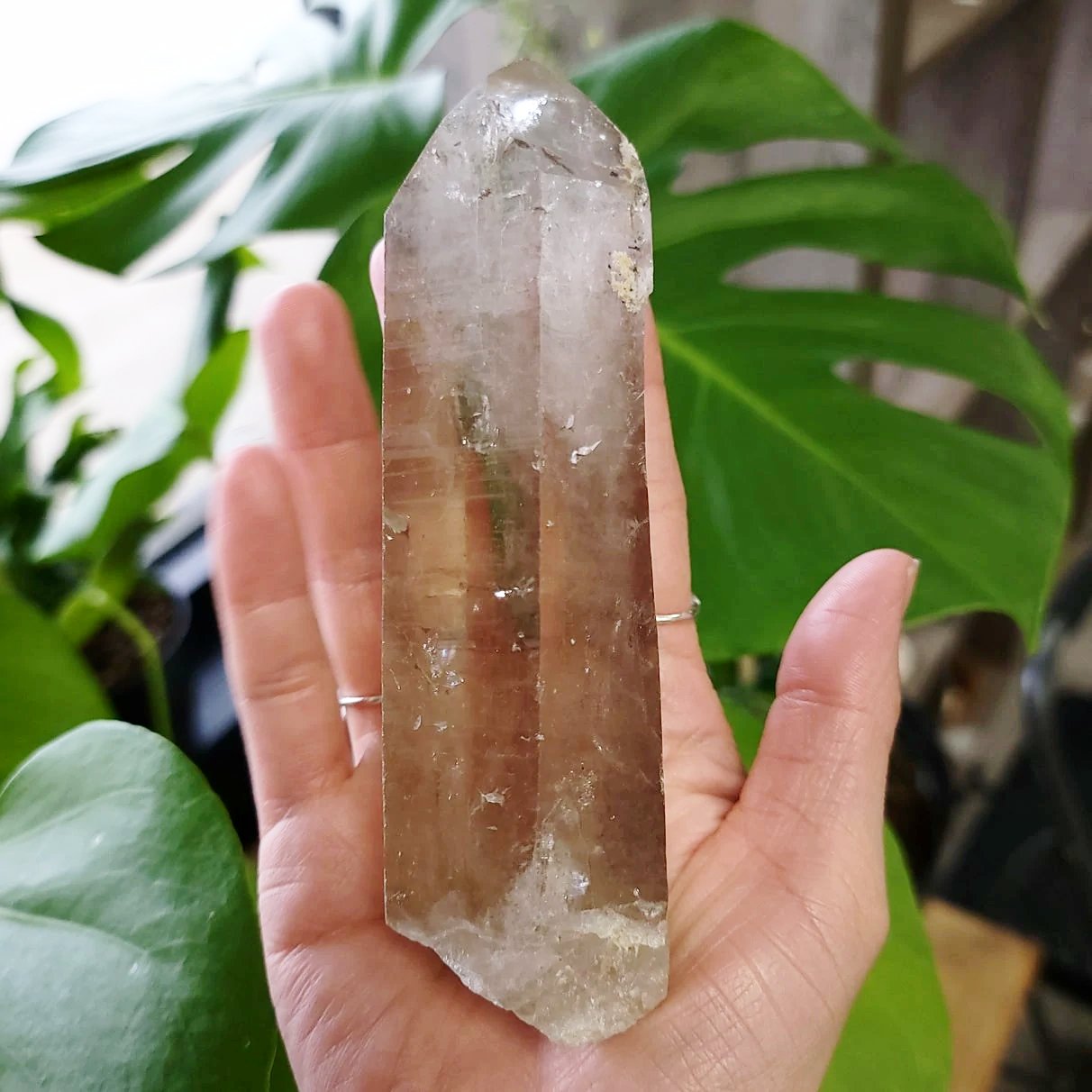 Laser Quartz Wand Point 5.6" 14.1cm 12.4oz 352g - Elevated Metaphysical