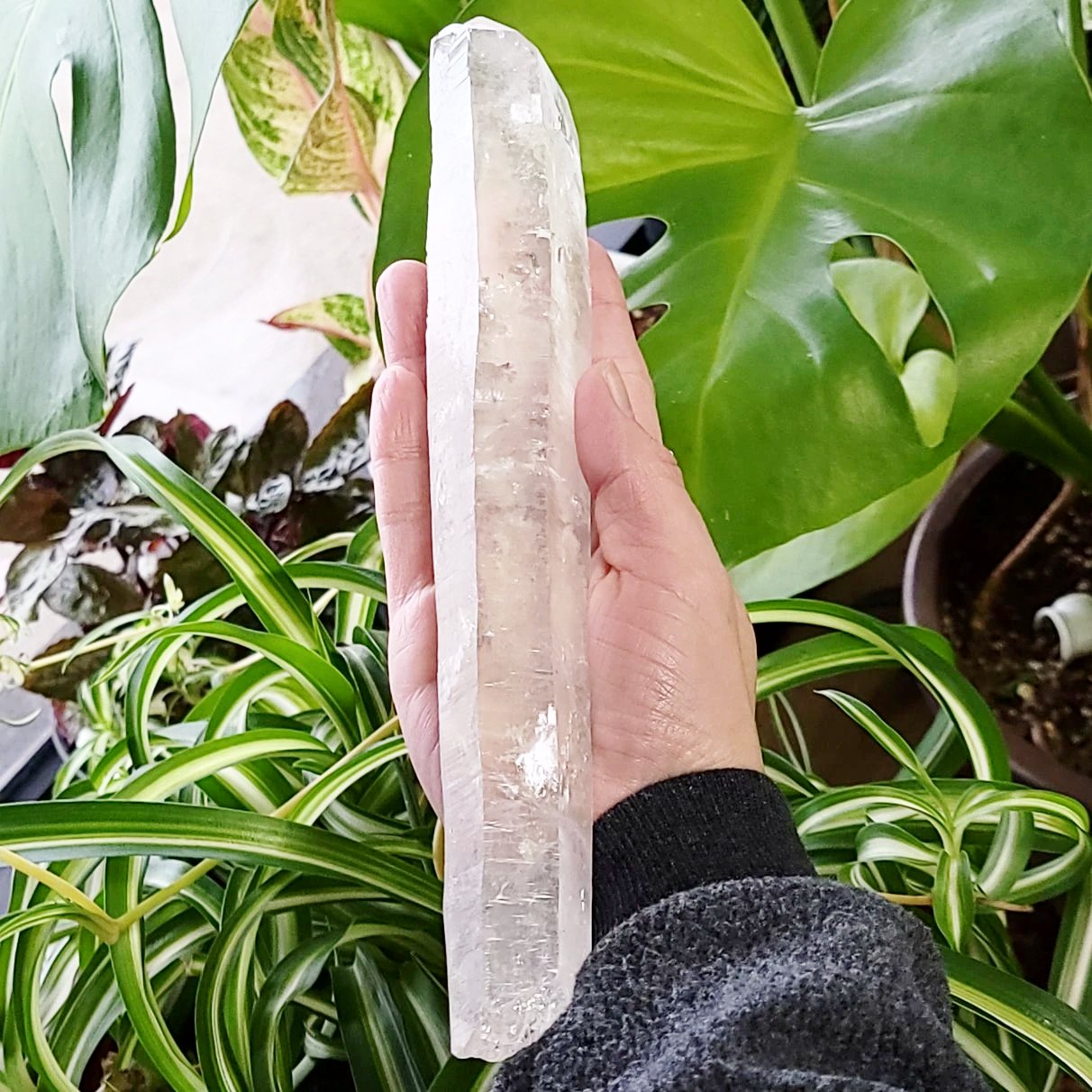 Laser Quartz Wand Point 10.4" 26.4cm 16oz 455g - Elevated Metaphysical