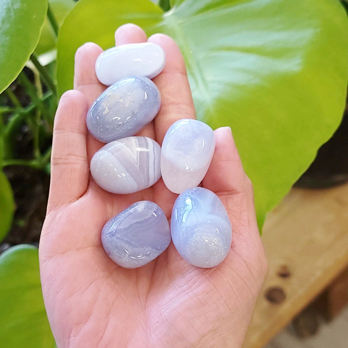 Blue Lace Agate Tumbled Stone - Elevated Metaphysical