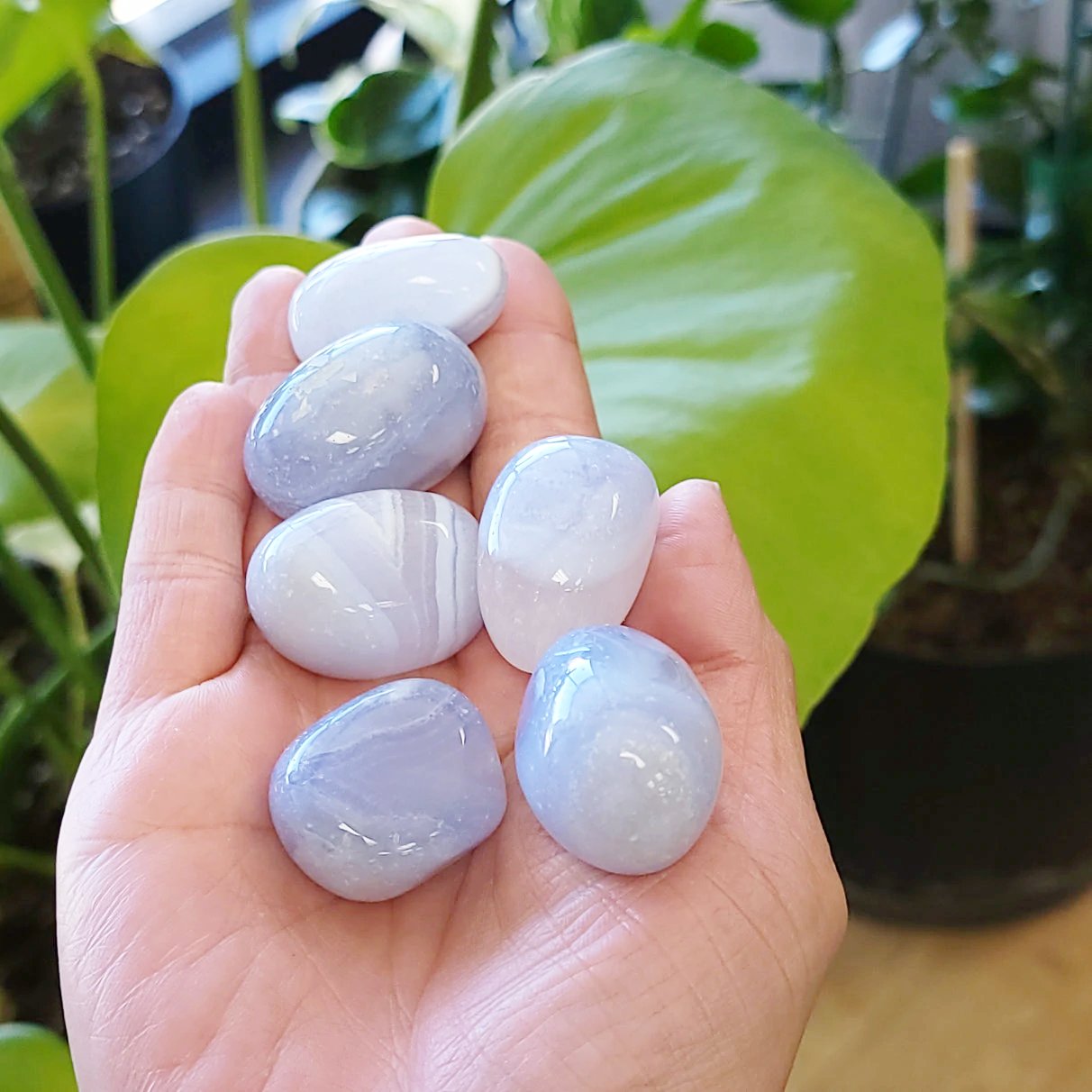 Blue Lace Agate Tumbled Stone - Elevated Metaphysical