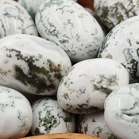 Tree Agate Tumbled Stone - Elevated Metaphysical