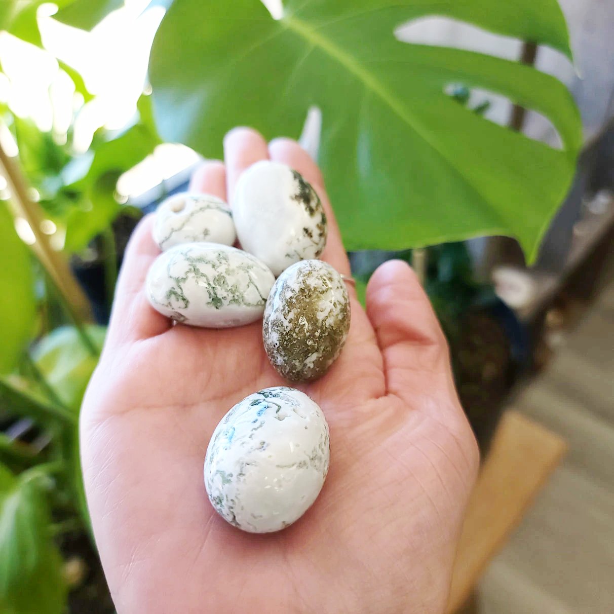 Tree Agate Tumbled Stone - Elevated Metaphysical