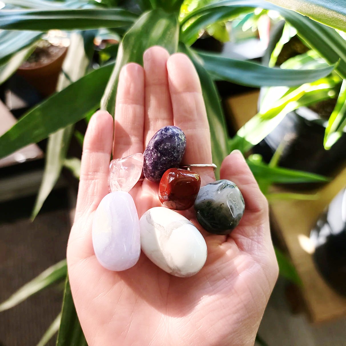 Why Am I Like This? - Anxiety Stone Set - Elevated Metaphysical