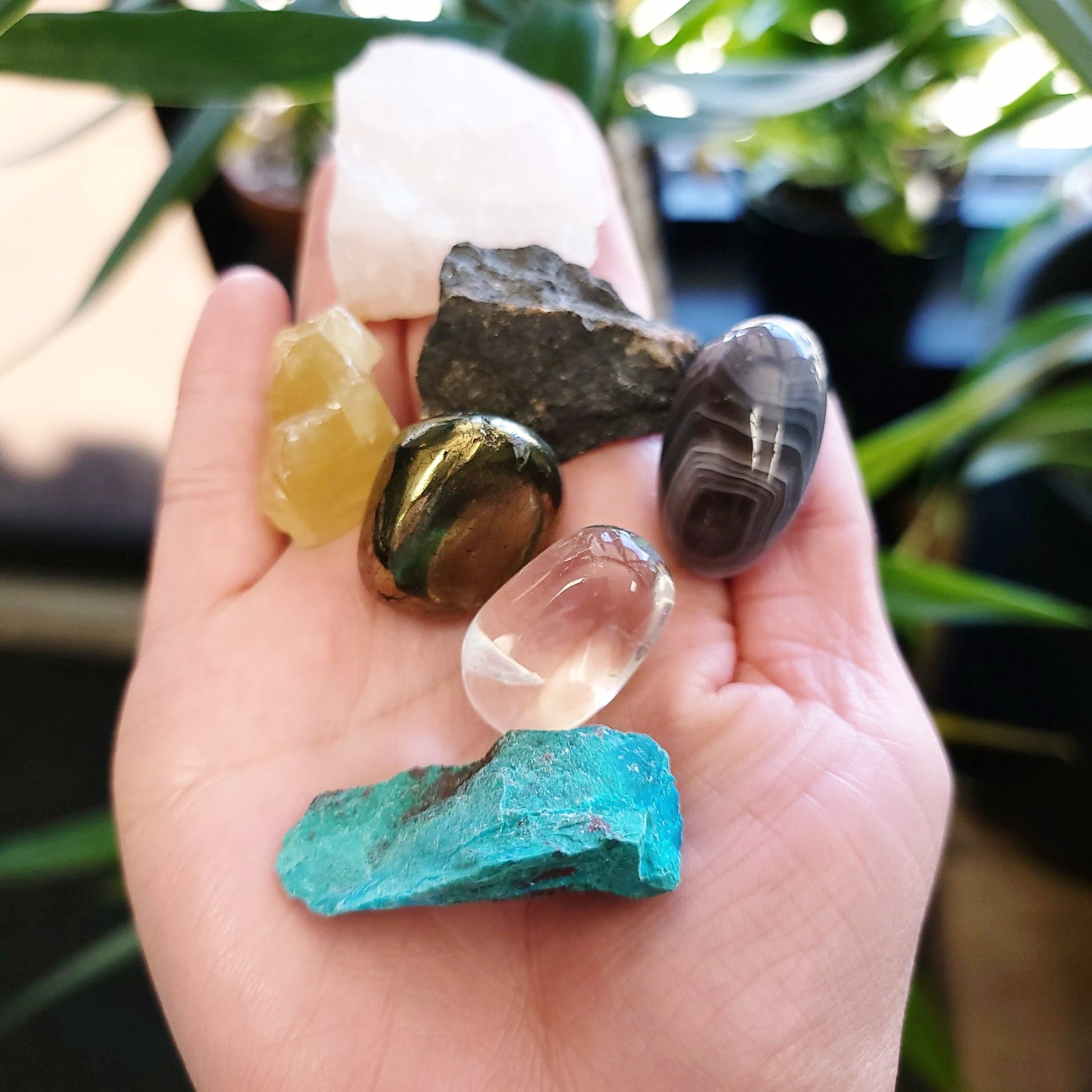 For the Love and Money - Love & Money Stone Set - Elevated Metaphysical