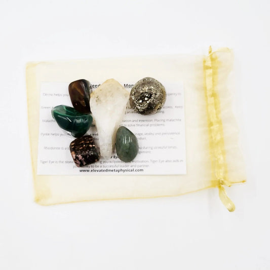 I Need The Bag - Money Stone Set - Elevated Metaphysical