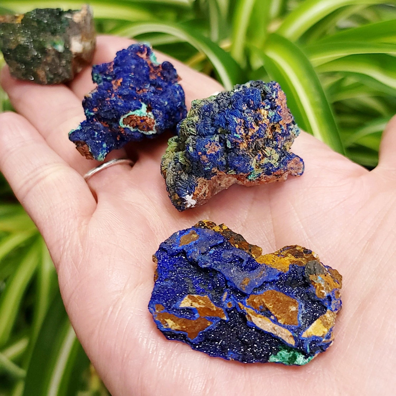 Azurite Cluster Geode Specimen small - Elevated Metaphysical