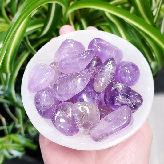 Amethyst Tumbled Stone - Elevated Metaphysical